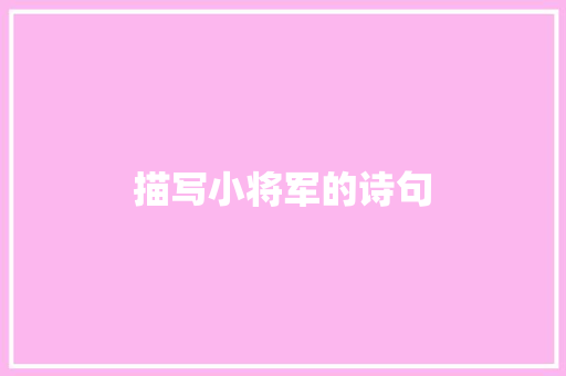 描写小将军的诗句