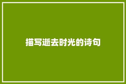 描写逝去时光的诗句