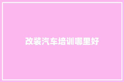 改装汽车培训哪里好 项目管理范文