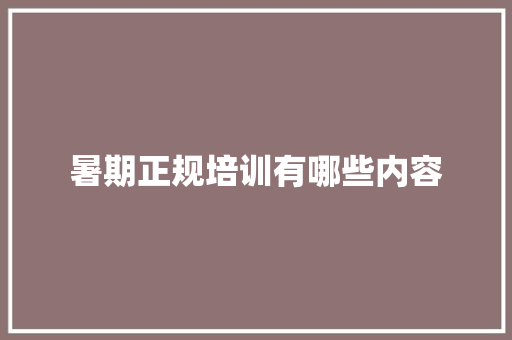暑期正规培训有哪些内容