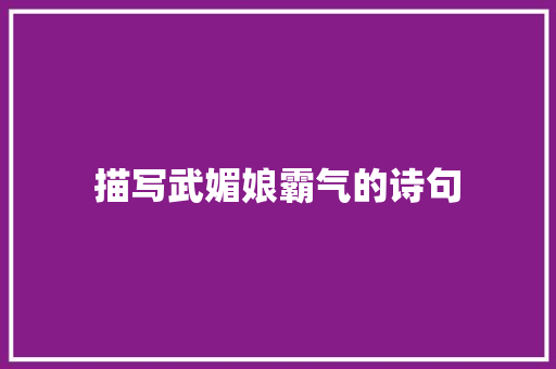 描写武媚娘霸气的诗句 项目管理范文