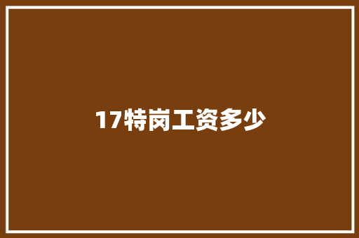 17特岗工资多少
