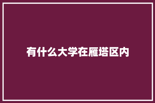 有什么大学在雁塔区内