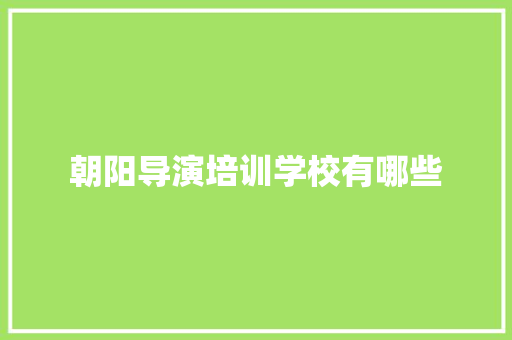 朝阳导演培训学校有哪些