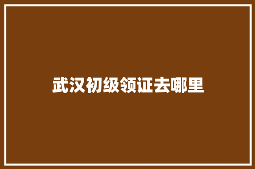 武汉初级领证去哪里