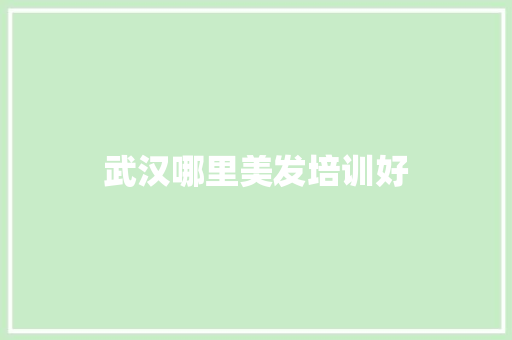 武汉哪里美发培训好 创作范文
