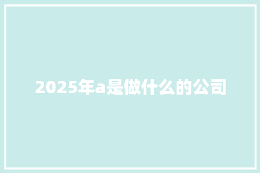 2025年a是做什么的公司