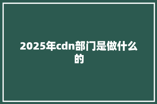 2025年cdn部门是做什么的