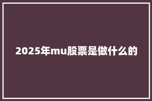 2025年mu股票是做什么的
