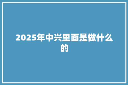 2025年中兴里面是做什么的