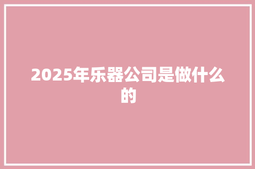 2025年乐器公司是做什么的