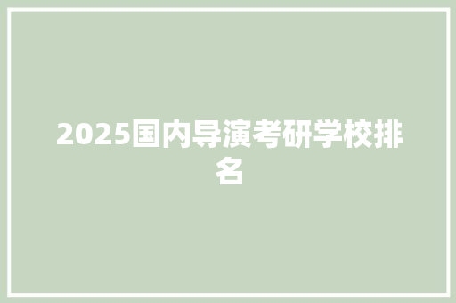 2025国内导演考研学校排名