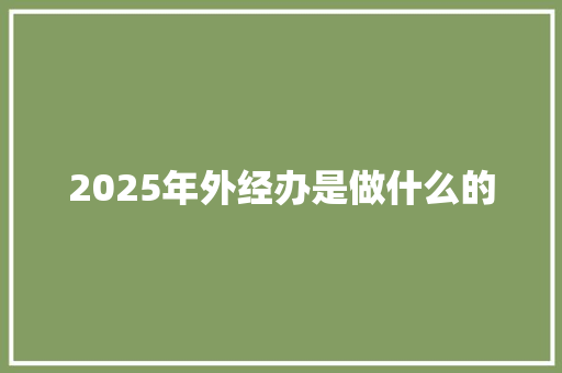 2025年外经办是做什么的