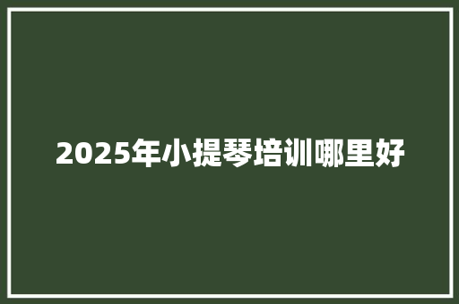 2025年小提琴培训哪里好