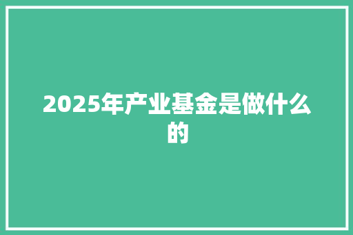 2025年产业基金是做什么的