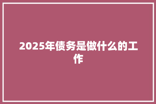 2025年债务是做什么的工作