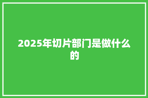 2025年切片部门是做什么的