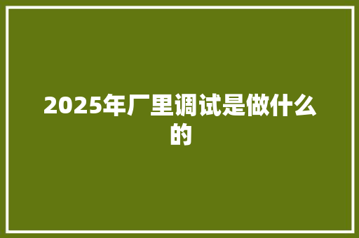 2025年厂里调试是做什么的