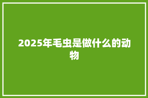 2025年毛虫是做什么的动物