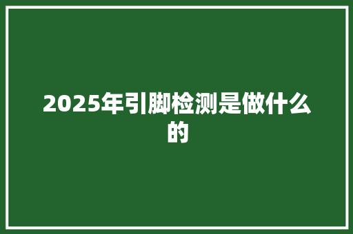 2025年引脚检测是做什么的