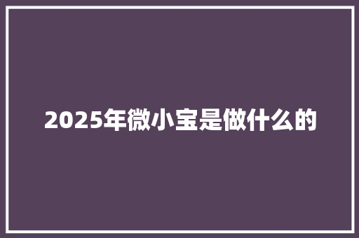 2025年微小宝是做什么的