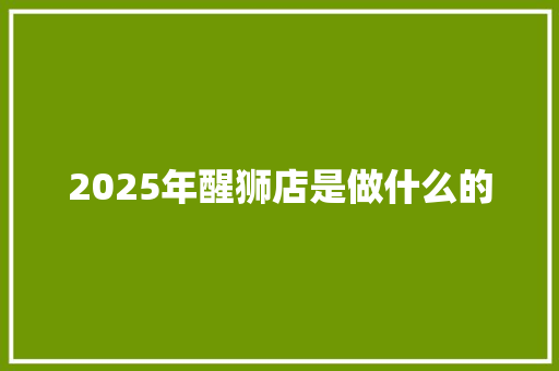 2025年醒狮店是做什么的