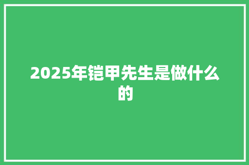 2025年铠甲先生是做什么的