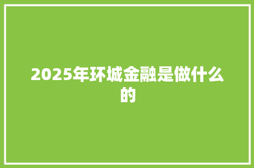 2025年环城金融是做什么的