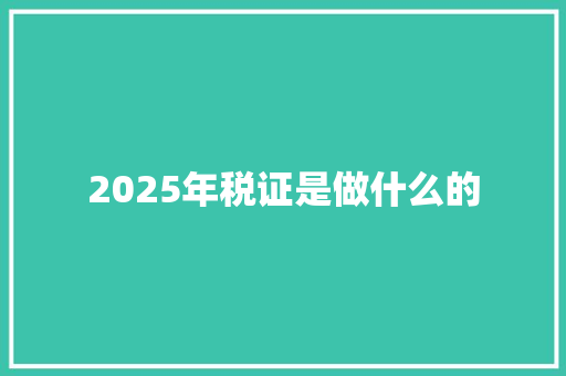 2025年税证是做什么的
