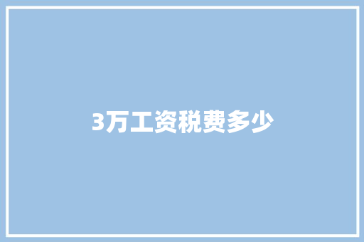 3万工资税费多少