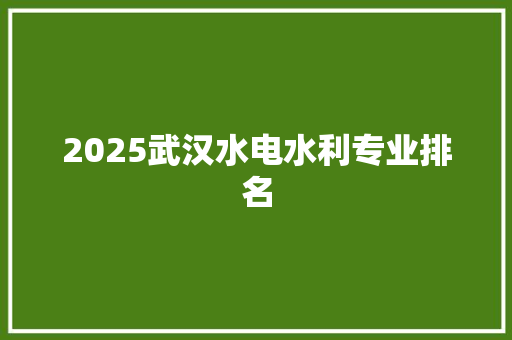 2025武汉水电水利专业排名