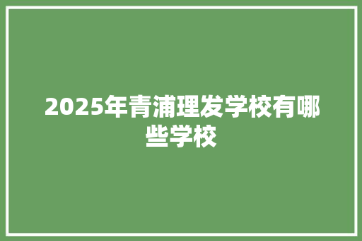 2025年青浦理发学校有哪些学校