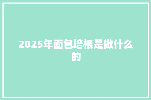 2025年面包培根是做什么的