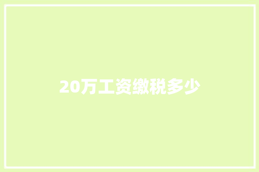 20万工资缴税多少