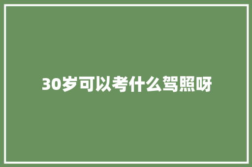30岁可以考什么驾照呀
