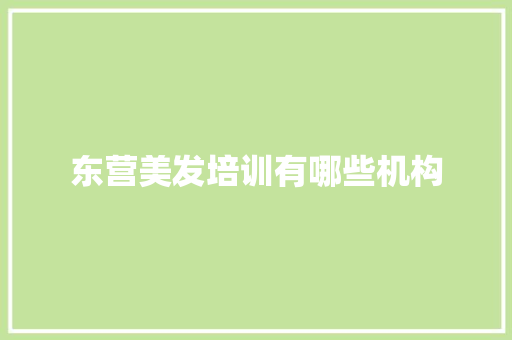 东营美发培训有哪些机构
