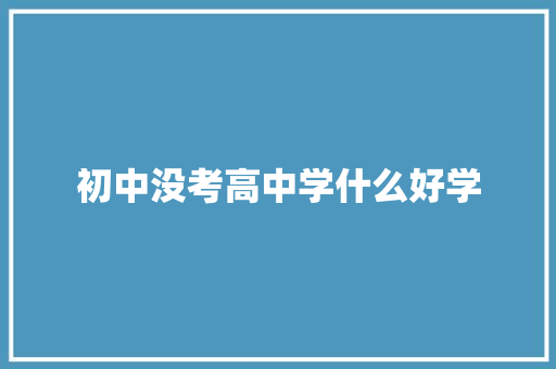 初中没考高中学什么好学