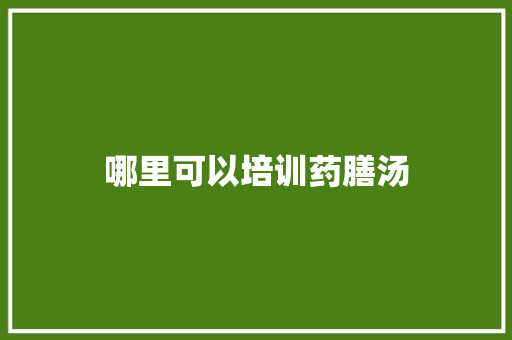哪里可以培训药膳汤