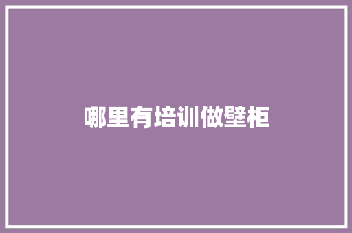 哪里有培训做壁柜