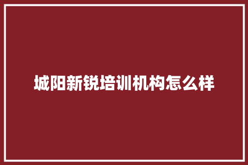 城阳新锐培训机构怎么样