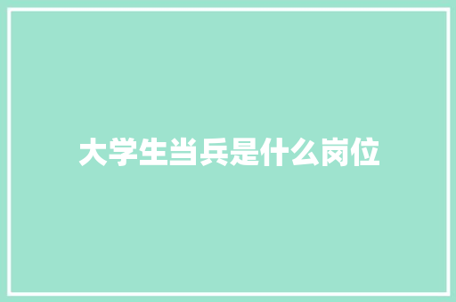 大学生当兵是什么岗位