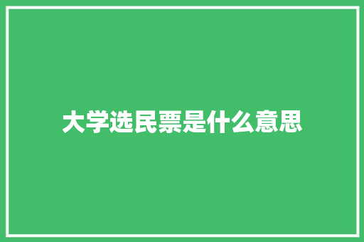 大学选民票是什么意思