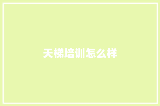 天梯培训怎么样