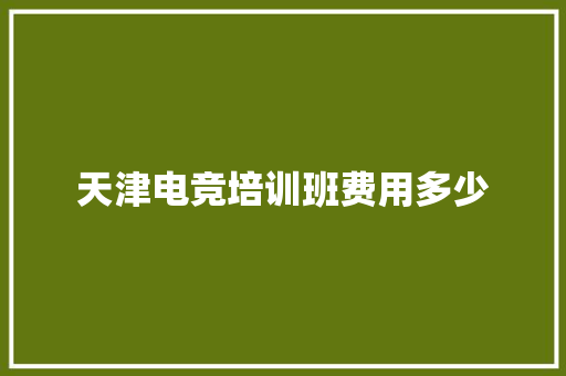 天津电竞培训班费用多少 职场应用