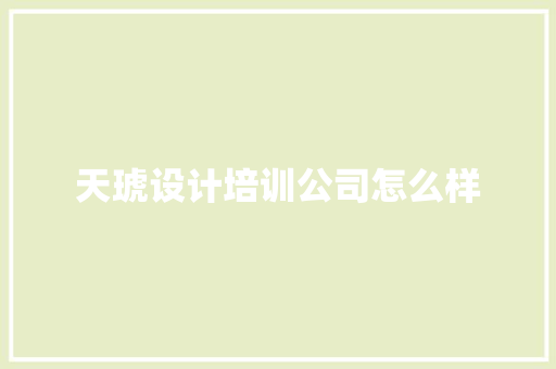 天琥设计培训公司怎么样 财务报告范文