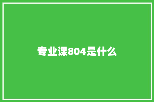 专业课804是什么