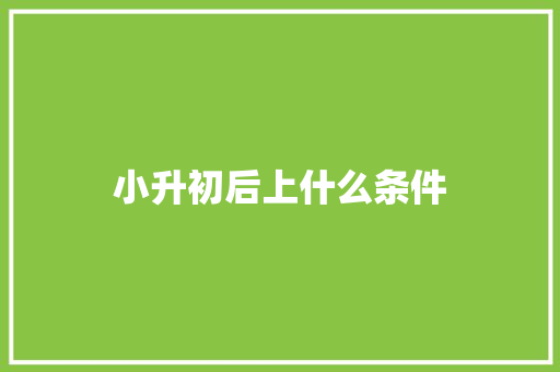 小升初后上什么条件 词句相关
