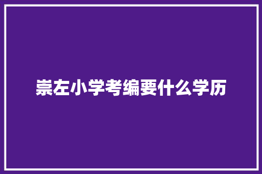 崇左小学考编要什么学历
