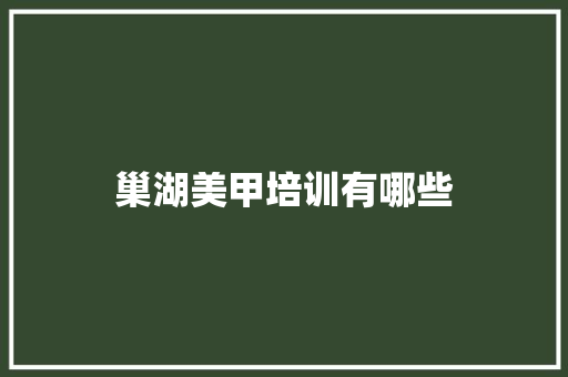 巢湖美甲培训有哪些