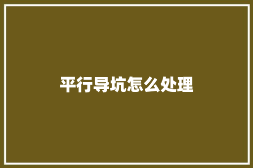 平行导坑怎么处理